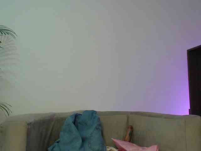 CCOLLI webcam