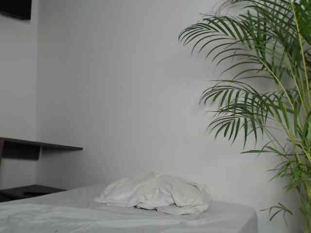 CCOLLI webcam