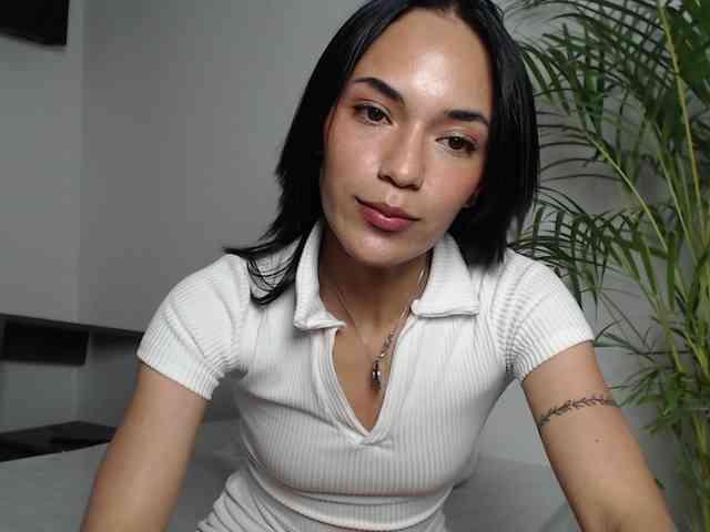 CCOLLI webcam