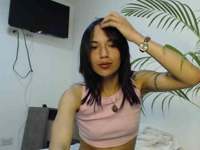 CCOLLI webcam