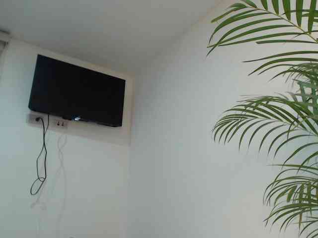 CCOLLI webcam