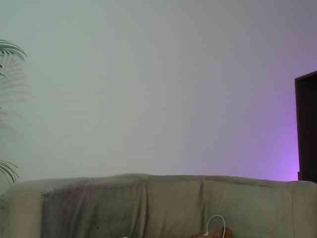 CCOLLI webcam