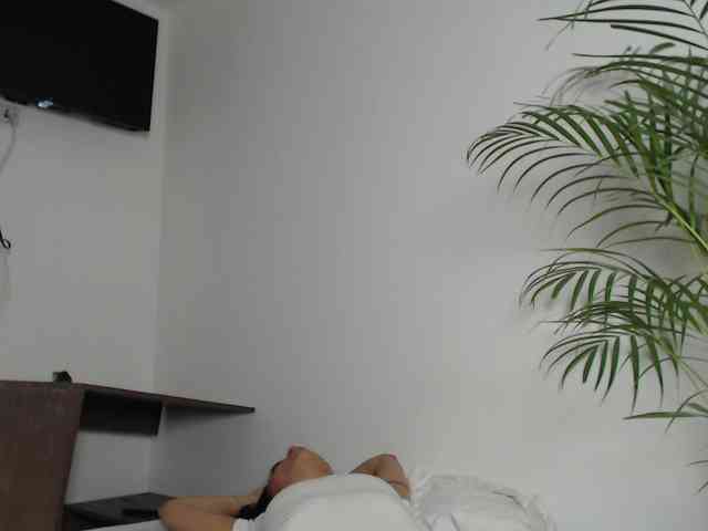 CCOLLI webcam