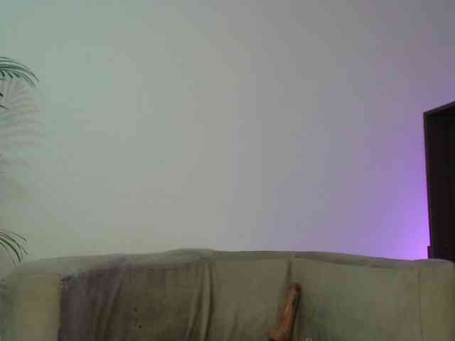 CCOLLI webcam