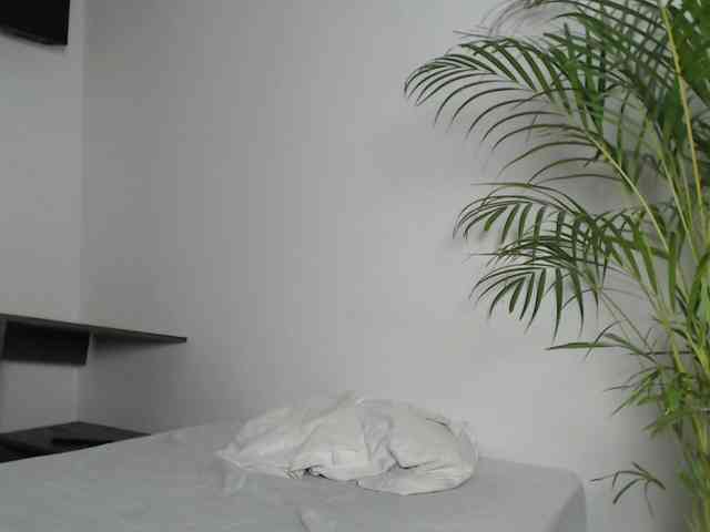 CCOLLI webcam