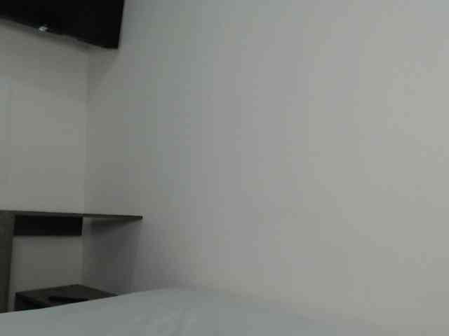 CCOLLI webcam