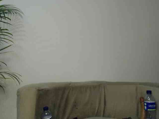 CCOLLI webcam