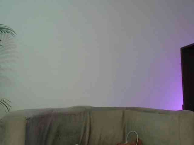 CCOLLI webcam