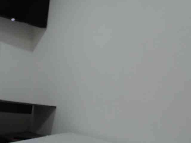 CCOLLI webcam