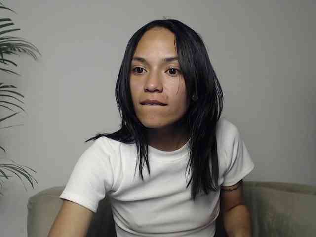 CCOLLI webcam