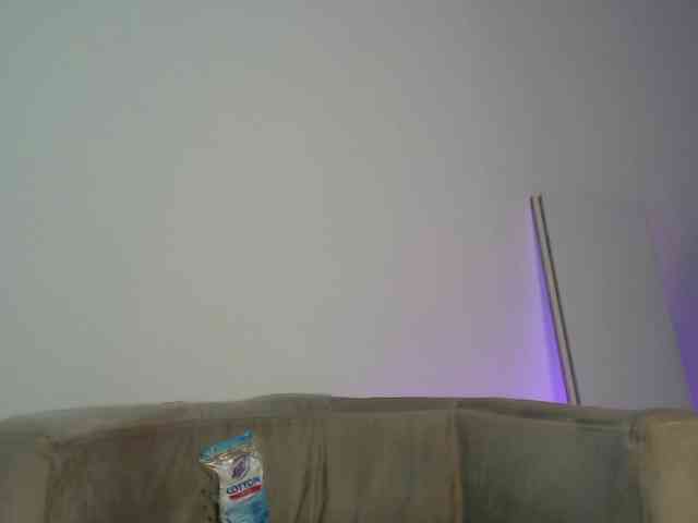 CCOLLI webcam