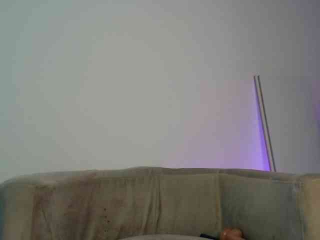 CCOLLI webcam