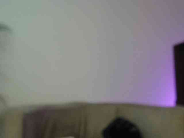 CCOLLI webcam