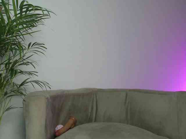 CCOLLI webcam