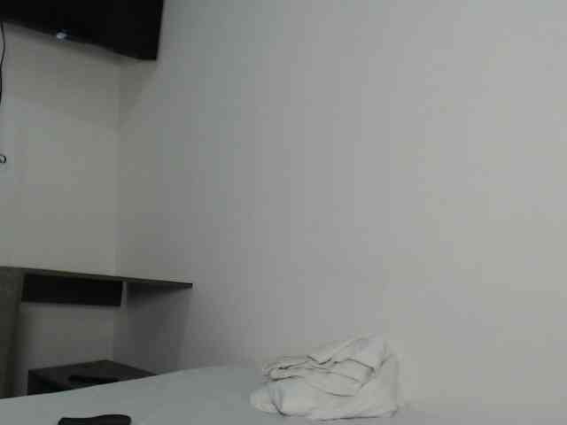 CCOLLI webcam