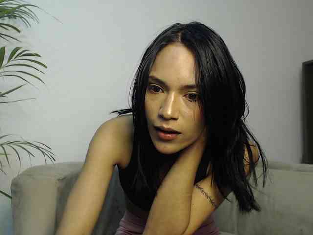 CCOLLI webcam