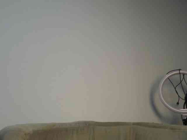 CCOLLI webcam