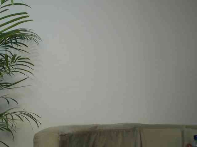 CCOLLI webcam