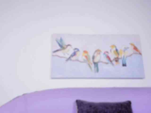 allyson-aisha webcam