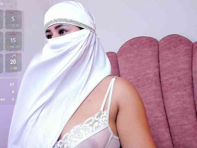 halabi-saha webcam
