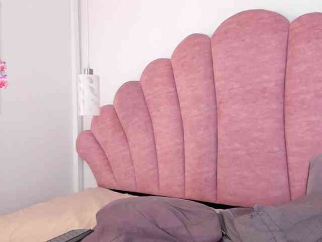 halabi-saha webcam