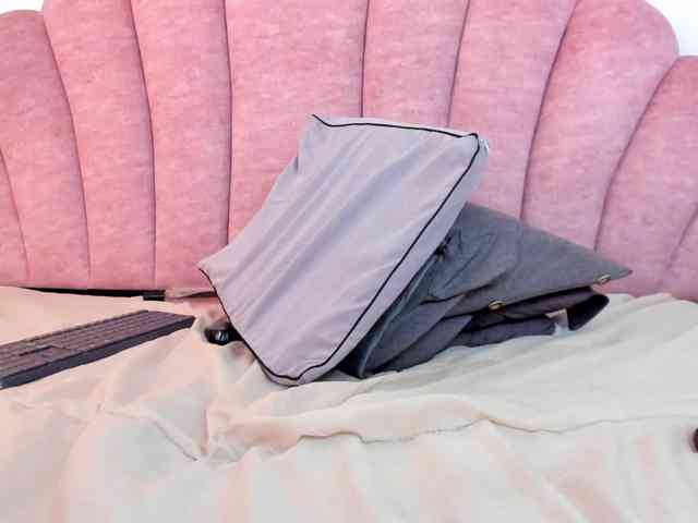 halabi-saha webcam
