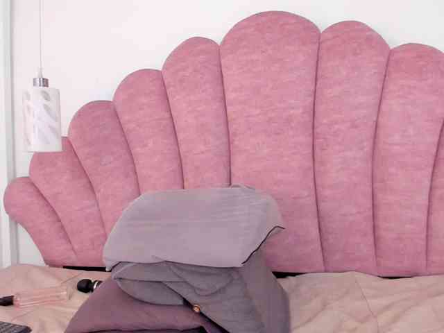 halabi-saha webcam