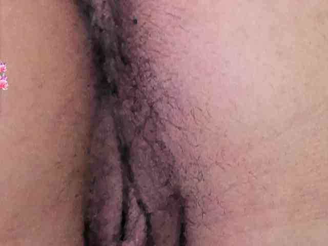 halabi-saha webcam