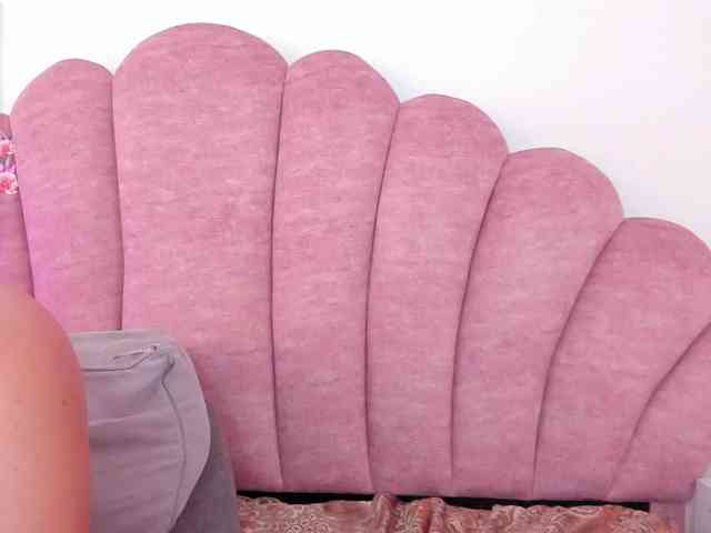 halabi-saha webcam