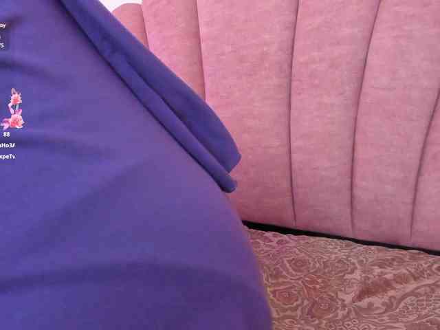 halabi-saha webcam