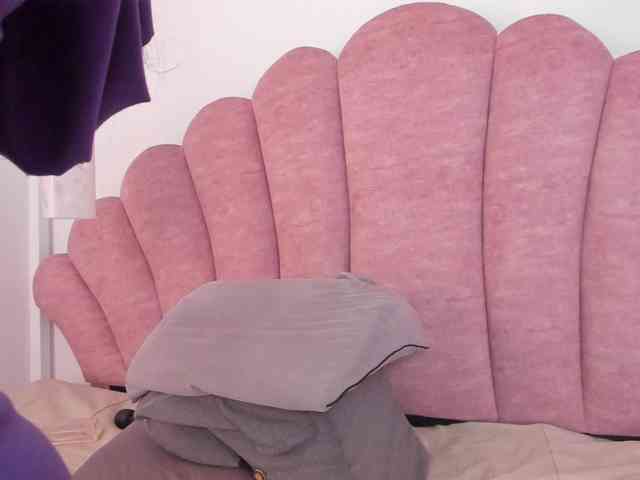 halabi-saha webcam