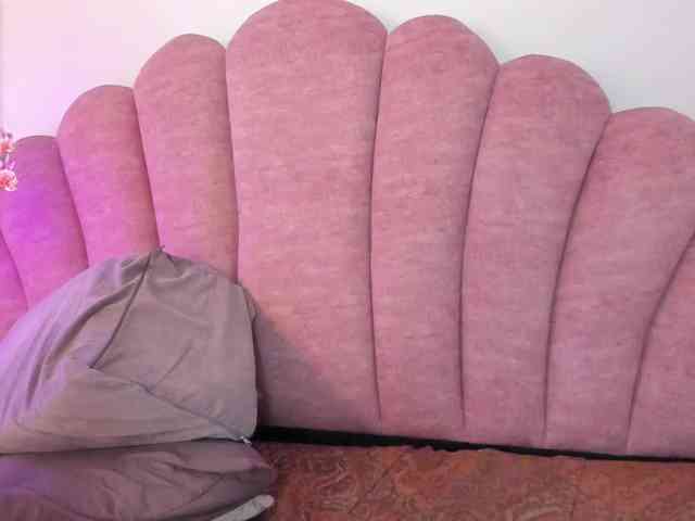 halabi-saha webcam