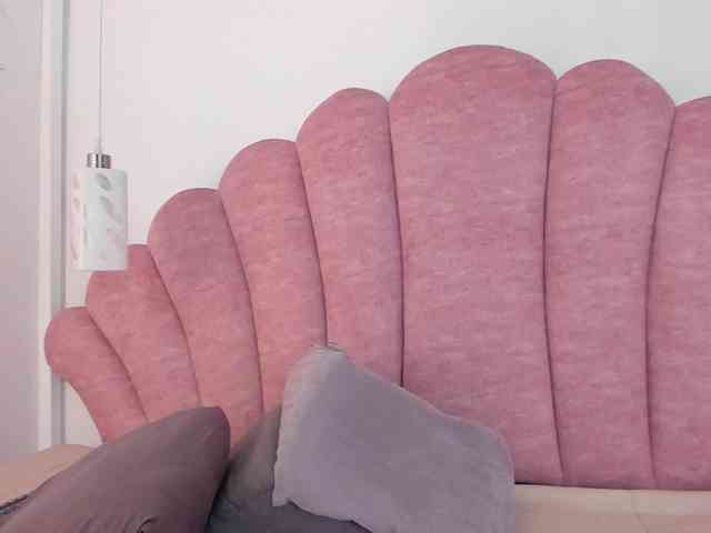 halabi-saha webcam