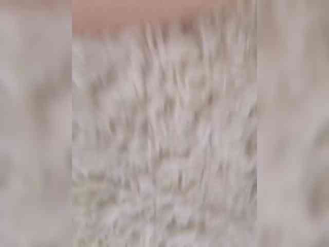 Nika0000 webcam