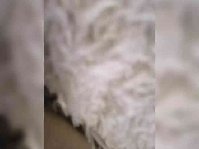 Nika0000 webcam