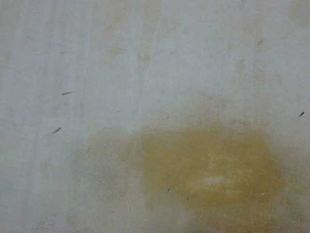 sexy-candy1 Live Cam on BongaCams and RICams