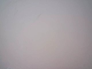 lamensha Porn Show