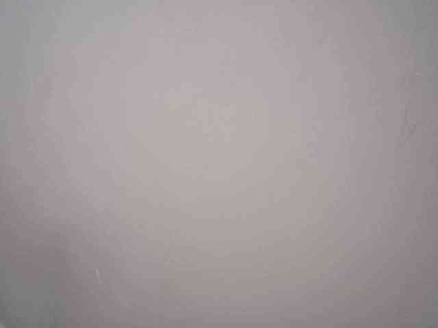 lamensha webcam