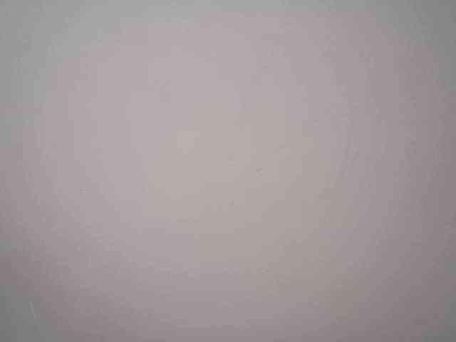 lamensha webcam
