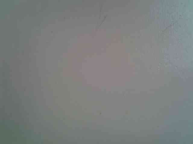 lamensha webcam