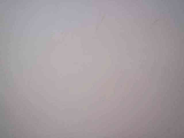 lamensha webcam