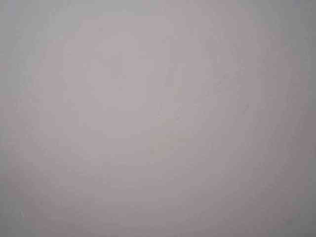 lamensha webcam