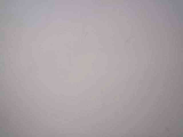 lamensha webcam