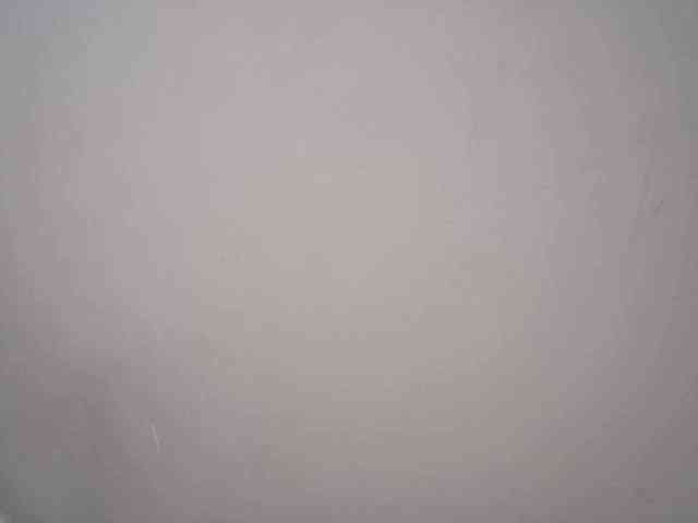 lamensha webcam