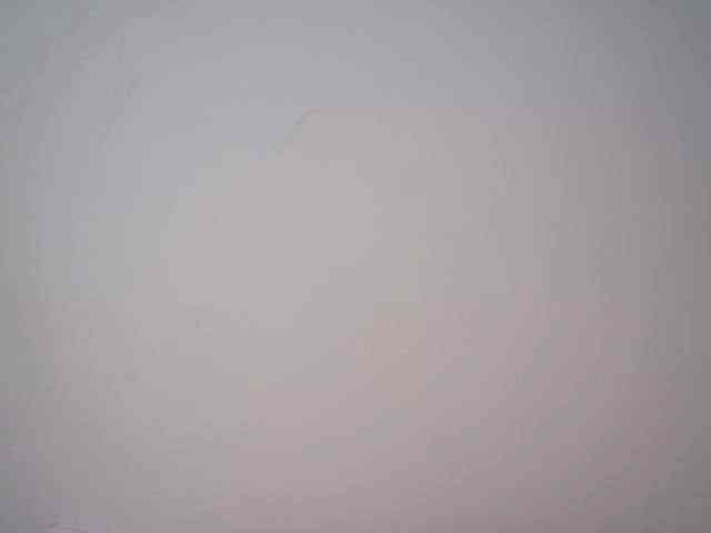 lamensha webcam
