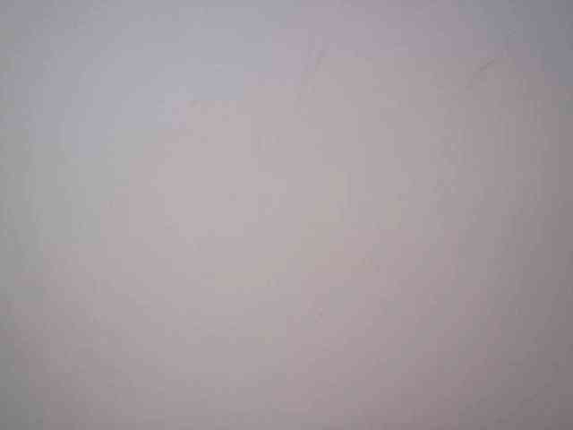 lamensha webcam