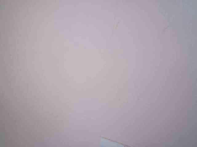 lamensha webcam