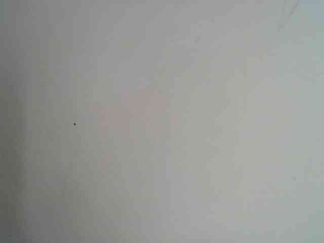 lamensha webcam