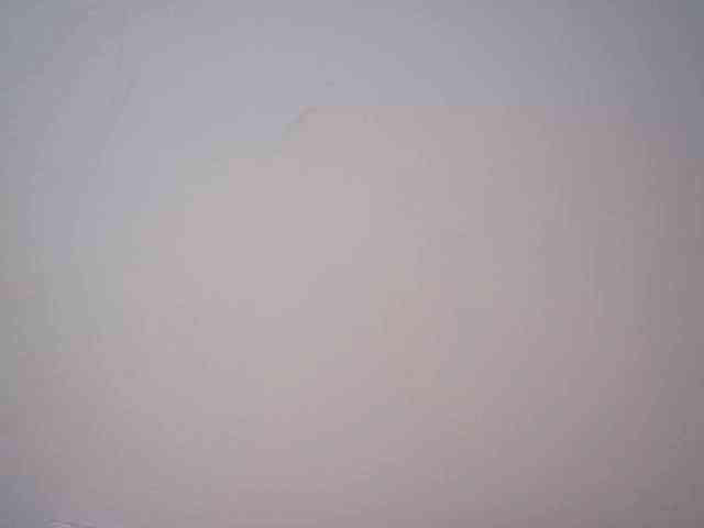 lamensha webcam