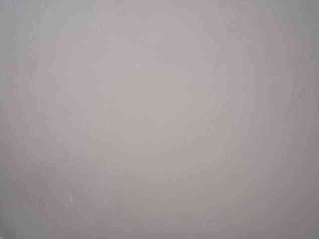 lamensha webcam